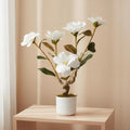 2FT Artificial Magnolia Tree with Pot, Faux Flower Tree with White Magnolia Blooms and Green Leaves, Potted Artificial Plant for Living Room, Bedroom, Office, Entryway, Store, Home Dector by GaoMon