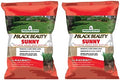 Jonathan Green Black Beauty Sunny Premium Grass Seed Mixture, 3lb (Pack of 2) by JonathanGreen