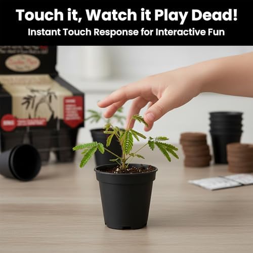 Zombie Plant Greenhouse Grow Kit - Touch It and Watch It Play Dead - Unique Grow Kit to Cultivate a Fun Indoor Plant that Revives in Minutes - Cool Plants and Great for Housewarming Gifts - Image 2