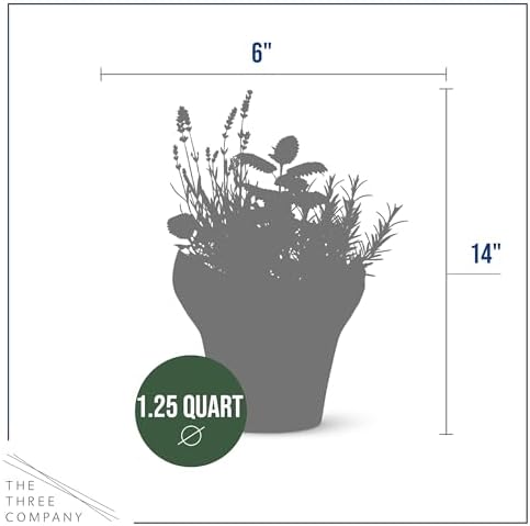 Herb Combo - Sleep Aid, Lavender, Rosemary & Lemon Balm, Aromatic Plant Collection in Deco Cover, 12" Tall by 6" Wide in 1.25 Qt Pot - Image 3