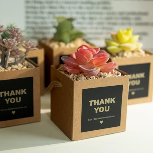 Temlum 2.5 Inch Succulent Wrap Bags (Fits 2.5″ Pots) with Thank You & Let Love Grow Stickers, Small Gift Box for Wedding, Baby Shower, Succulent Party Favors for Guests (Brown 40pcs) - Image 4