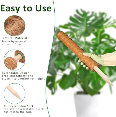 Moss Pole, 2Pack 21 Inch Plant Support Stakes for Indoor Plants, Monstera Plant Support Stakes, 37 Inch Tall Coir Plant Pole Sticks for Potted Plants, Pothos, Philodendron - Image 4