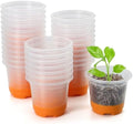 MIXC Clear Nursery Pots with Silicone Base, 4-Inch, 30-Pack by MIXC