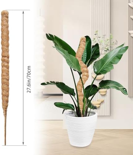 2 Pack Moss Pole,27.6 Inch Moss Poles for Plants Monstera Bendable Plant Stakes for Indoor Coco Coir Pole Climbing Plant Support Stakes for Creeper Plants Grow Upwards - Image 3