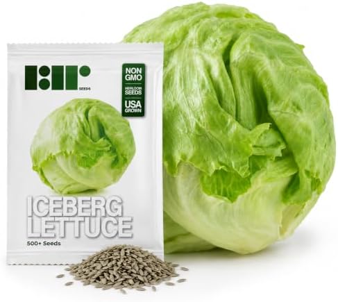 500 Iceberg Lettuce Seeds for planting - Heirloom Non-GMO USA Grown Premium Vegetable Seeds for Planting Home Garden - Crisphead Heading Lettuce Lactuca Sativa by RDR Seeds by RDRSeeds