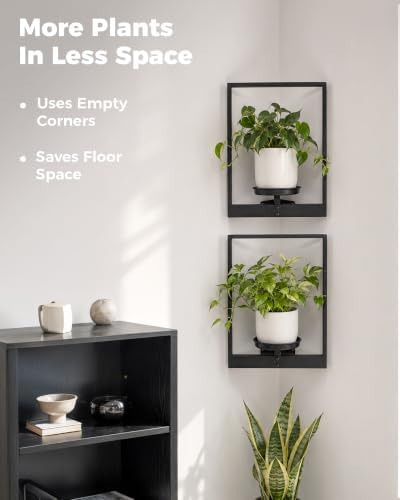 Bamworld Picture Frame Wall Planters Set of 2 Corner Wall Plant Holder - Image 4