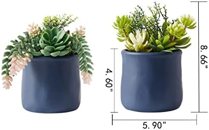 Artificial Succulent in Ceramic Pots, 2 Packs Fake Plants - Image 3