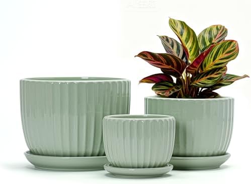 Flower Pots,Ceramic Plant Pots with Drainage Holes Set of 3（Light Green） by TonSin