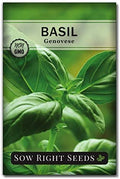 Sow Right Seeds - Genovese Sweet Basil Seed for Planting an Herb Garden by SowRightSeeds