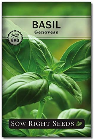 Sow Right Seeds - Genovese Sweet Basil Seed for Planting an Herb Garden by SowRightSeeds