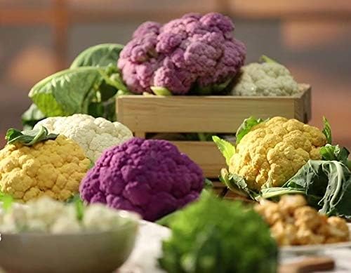 Seeds Cauliflower Cabbage Mix Non GMO Vegetable for Planting - Image 6