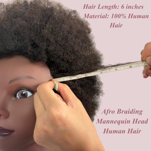 Afro Kinky Hair Braiding Mannequin Head with 100% Human Hair for Styling - Image 5