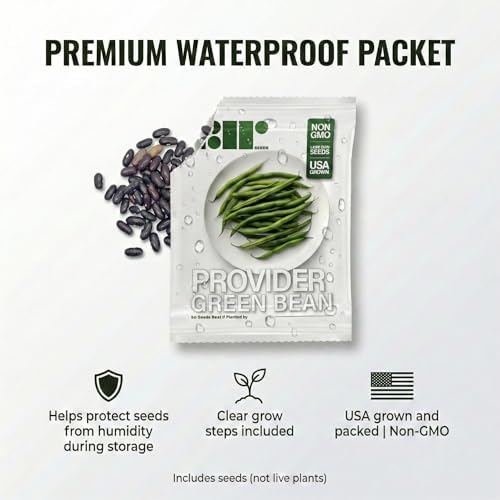 50 Green Bean Seeds for Planting - Provider - Bush Bean - Heirloom | Non-GMO | USA Grown - Image 4