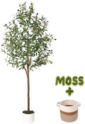 6FT Artificial Olive Tree Indoor Tall Faux with Planter & Basket Large Fake Olive Silk Trees Realistic Olive Plants with Branches and Fruits for Office Decor Home Living Room by Unknown
