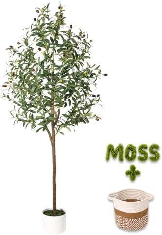6FT Artificial Olive Tree Indoor Tall Faux with Planter & Basket Large Fake Olive Silk Trees Realistic Olive Plants with Branches and Fruits for Office Decor Home Living Room by Unknown