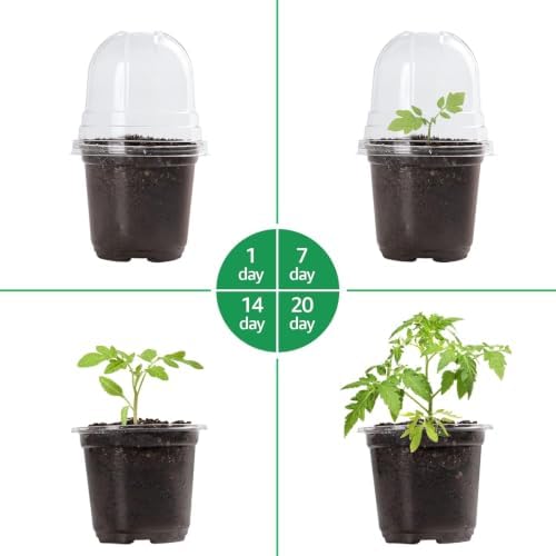 Bluepro Clear Nursery Pots with Humidity Domes, 4 Inch, 30-Pack - Image 4