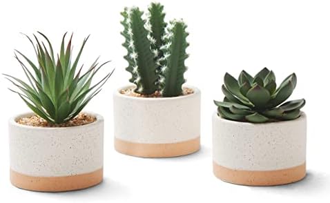 Artificial Succulent Plants in Ceramic Pots Set of 3 by Astridiadecorateyourlife
