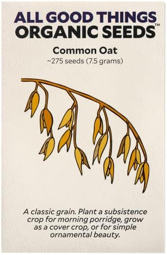 All Good Things Organic Common Oat Seeds for Planting: 275 Count by AllGoodThingsOrganicSeeds