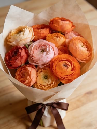6 Mixed Color Ranunculus Bulbs for Planting, Assorted Pastel Double Buttercups, Spring or Fall Planting Bulbs for Vibrant Garden Blooms, Borders & Cut Flower Garden, Rose Bulb Wedding Flower Bulbs - Image 5