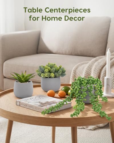 Artificial Succulents Plants in Grey Pots (Set of 3) - Faux String of Pearls, Aloe & Sedum Potted Plants Small Fake Plants Indoor for Home Office Table Desk Shelf Kitchen Bathroom Decor - Image 5