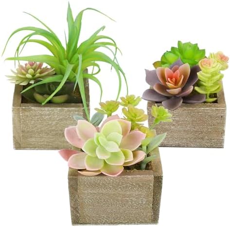 Artificial Succulents Indoor Fake Plants for Home Bathroom Decor Set of 3 by Mingfuxin