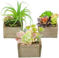 Artificial Succulents Indoor Fake Plants for Home Bathroom Decor Set of 3 by Mingfuxin