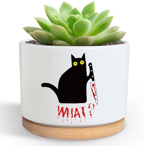 Funny Hello Black Cat Ceramic Plant Pot for Succulent, Cute Cat Cactus Flower Planter for Windowsill Indoor Decor, Home Office Decoration for Plant Lovers Friends Owner Lover (No Plants) (What) by DOFAFALA