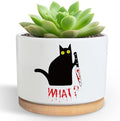 Funny Hello Black Cat Ceramic Plant Pot for Succulent, Cute Cat Cactus Flower Planter for Windowsill Indoor Decor, Home Office Decoration for Plant Lovers Friends Owner Lover (No Plants) (What) by DOFAFALA