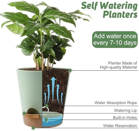 YNNICO 8-Inch Plant Pots, Self-Watering Planters with Drainage Holes & Saucers for Indoor and Outdoor Plants (2-Pack, Green) - Image 5