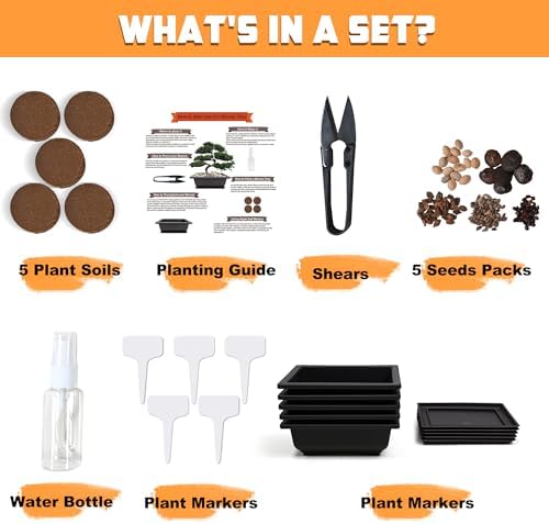 Bonsai Starter Kit, Growing into Blue Spruce, Boxwood, Dawn Redwood, Flame Tree and Judas Tree, Including Complete Gardening Tools in A Gift Box - Image 2