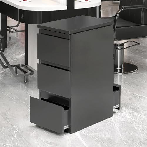 Stainless steel Beauty Salon Storage Cabinet, 3 Drawers Barber Salon Station for Hair Stylist, Barber Salon Station Styling Station Equipment, Barber Shop Beauty Spa Tattoo Tool Storage Cabinet by Unknown