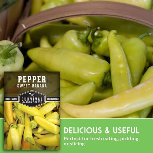 Sweet Banana Pepper Seeds for Planting – Survival Garden Seeds (5 Pack) - Image 4