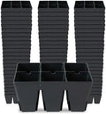 Epic Gardening 6-Cell Seed Starter Tray - 48 Trays - Black by EpicGardening