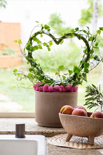 SuperMoss (22242) Heart Plant Trellis, 16" x 13" - Image 4