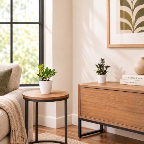 ZZ Plant 2-Pack Raven Black ZZ & Classic Green ZZ Live Indoor Plants United Nursery in 4-Inch Decorative Pots Rare Dark Foliage Houseplants for Home and Office Decor - Image 4