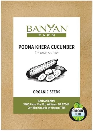 Banyan Botanicals Organic Cucumber Seeds – Heirloom Poona Khera (Cucumis Sativus) Seeds –Tender & Crisp for Eating or Pickling – 30 Count – Open Pollinated Non-GMO Easy-to-Grow by BanyanBotanicals