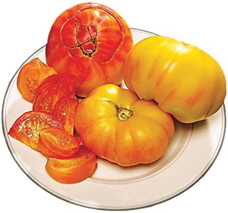 Park Seed Variety of Tomato Seeds, Planting Vegetables, Easy to Grow, Non-GMO, Perfect for Harvesting, Pineapple, Pack of 30 by ParkSeed