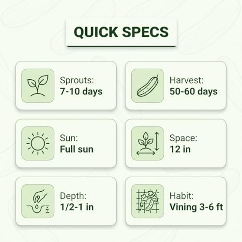 50 Boston Pickling Cucumber Seeds for Planting - Heirloom, Non-GMO, USA Grown - Crisp 3-5" Fruits - RDR Seeds - Image 5