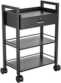 Paddie Salon Trolley Cart, Salon Tray Wooden Mobile Utility Cabinet with 1 Drawer 2 Trays, Rolling Storage Station Medical Esthetic Supply Holder for Beauty Spa (1 Drawer, Black) by Paddie