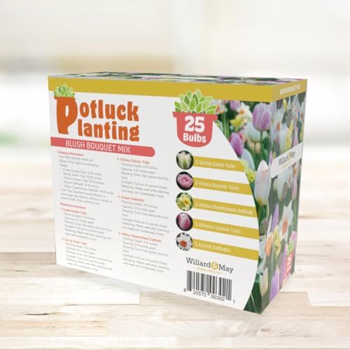 All-in-One Flower Garden Kit - 25 Flower Bulbs Per Box - Potluck Planting Blush Bouquet Mix - Tulip and Daffodil Mix - Fragrant - Naturalizing - Live Outdoor Garden - Easy to Plant Flowers - Image 3