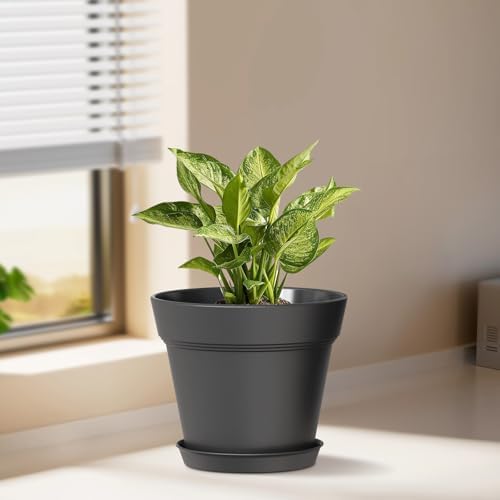 WSMKSZ 4 Inch Plastic Plant Pots with Drainage Holes and Trays – 8 Pack Small Nursery Pots for Indoor & Outdoor House Plants and Flowers, Seedling Starter Planters, Matte Black - Image 2