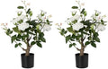 24’’ Artificial Rose Tree, 2 Pack Faux Rose Plants with White Flowers and Green Leaves, 2FT Silk Potted Tree for Indoor Outdoor Home Office Porch Garden Decor, White by Jcezvnt