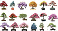 6 Types of Bonsai Tree Seeds for Planting - Pick from 3 Kits or Get Them All (Kit 4 - All 18 Types) by CZGrain