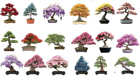 6 Types of Bonsai Tree Seeds for Planting - Pick from 3 Kits or Get Them All (Kit 4 - All 18 Types) by CZGrain