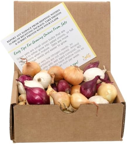Mixed Onion Assortment 8 oz - Red, White & Yellow Onion Bulbs by StargazerPerennials