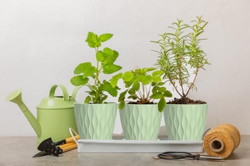 4 Inch Plant Pots, 6 Pack Indoor Flower Pots, Planters with Drainage Holes and Trays for Orchids, Violets, Succulents, Herbs, and Other Plants,Green - Image 5
