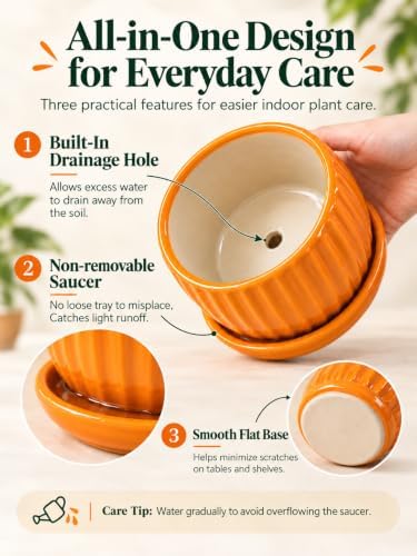 4/5/6 Inch Ceramic Pots for Plants Indoor Drainage Saucer Gifts for Mom - Image 4