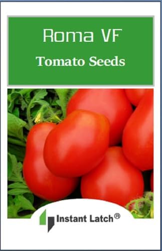 250 Roma VF Tomato Seeds for Planting NON GMO Heirloom Seeds Garden Seed - Image 2