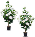 2 Pack Artificial Camellia Trees with Potted (White Flowers) by Unknown