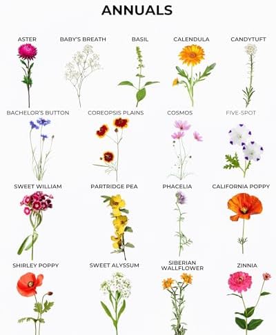 Tactiko Save the Bees Wildflower Seed Mix, 4oz - Image 6